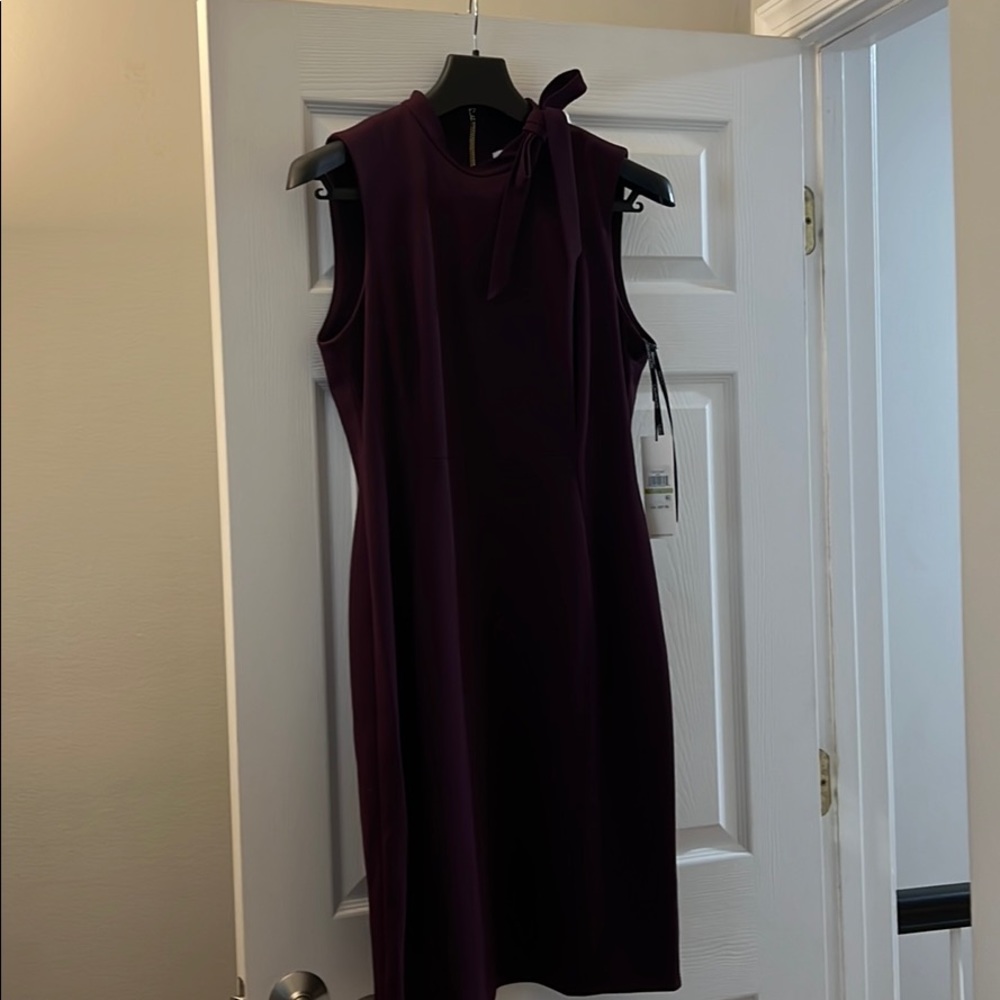 Calvin Klein NWT Wine Colored Dress